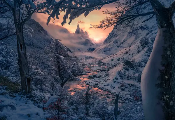 بهترین عکس سال ۲۰۲۲