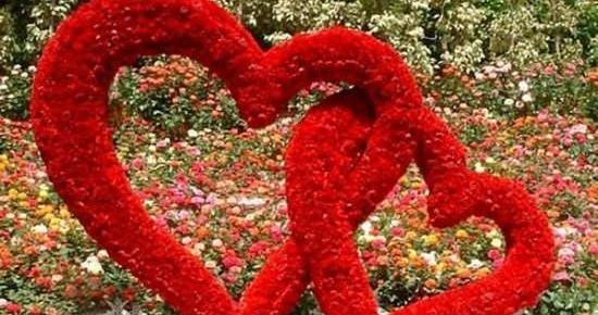 بهترین عکس قلب برای پروفایل