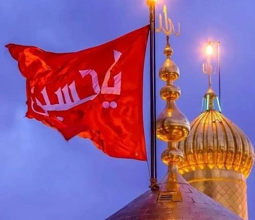 بهترین عکس از کربلا