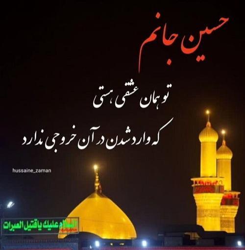 بهترین عکس از کربلا