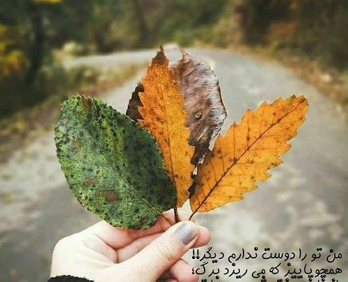 بهترین عکس های لاکچری