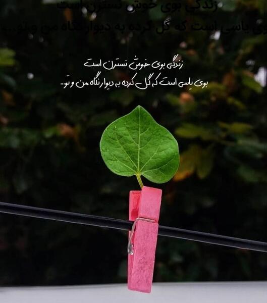 بهترین عکس نوشته پروفایل