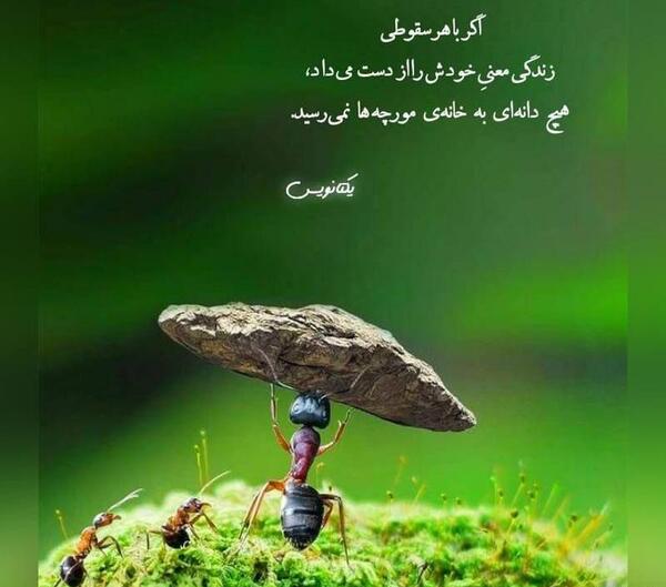 بهترین عکس برای وضعیت