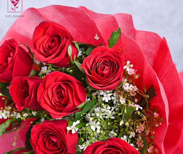 عکس بهترین گل رز دنیا