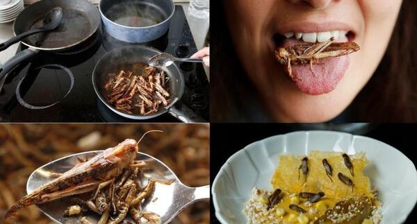 عکس بهترین غذاهای دنیا