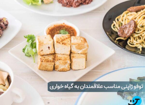 عکس بهترین غذاهای دنیا