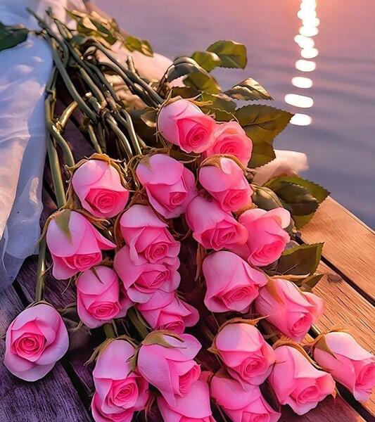 بهترین عکس های گل عاشقانه