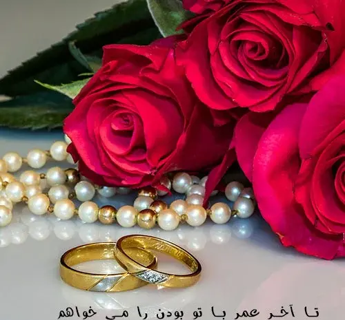 بهترین عکس های گل عاشقانه