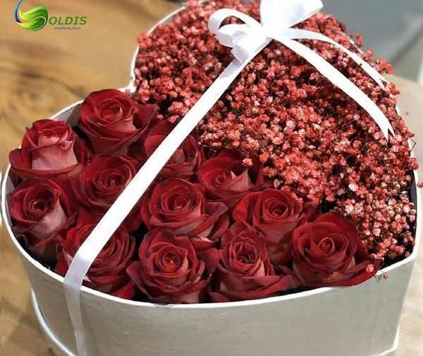 بهترین عکس های گل عاشقانه