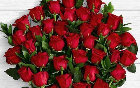 بهترین عکس های گل عاشقانه