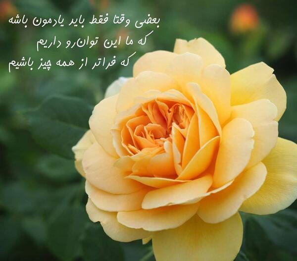 بهترین عکس شاد برای پروفایل