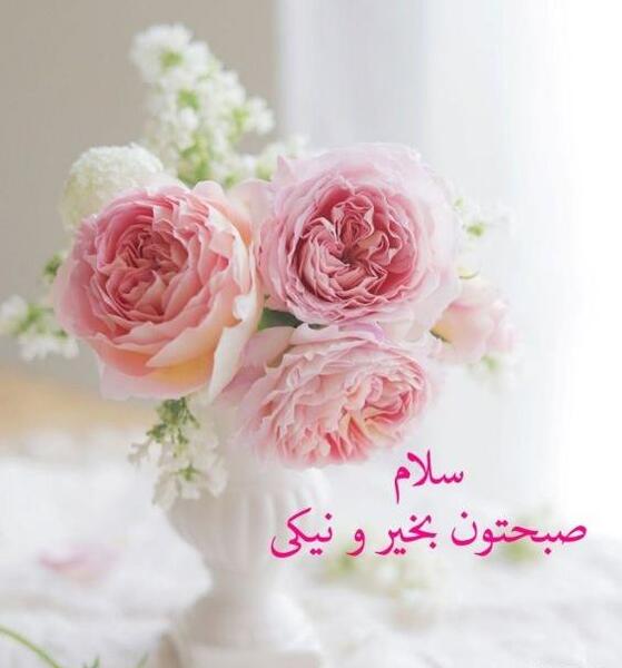 بهترین عکس های صبح بخیر
