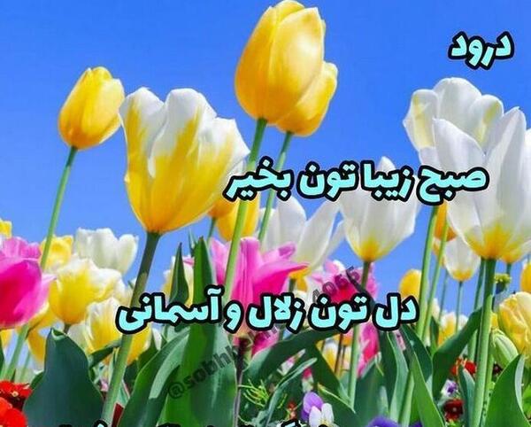 بهترین عکس سلام صبح بخیر