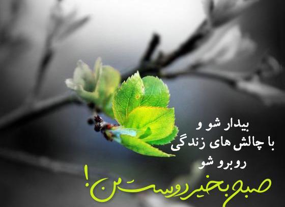 بهترین عکس نوشته صبح بخیر