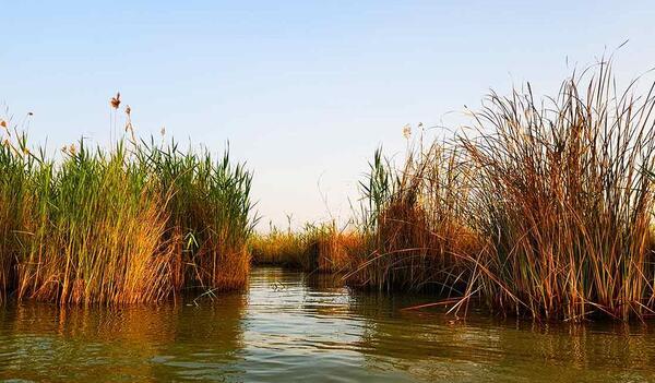 عکس بهترین شادگان
