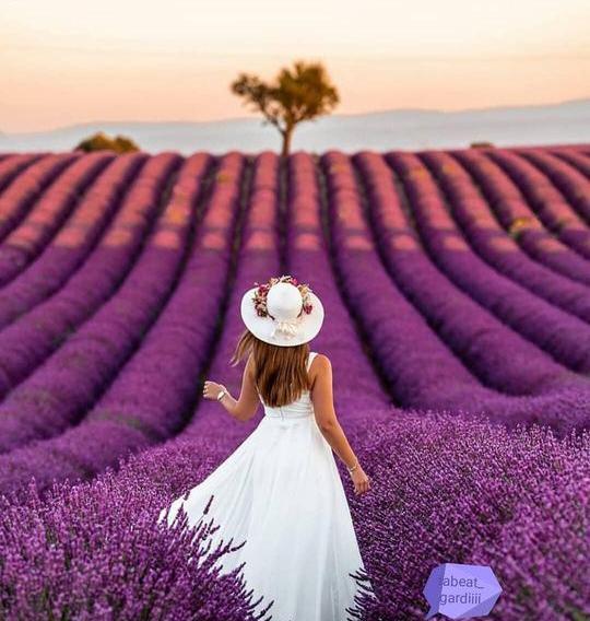 بهترین عکس برای شاد