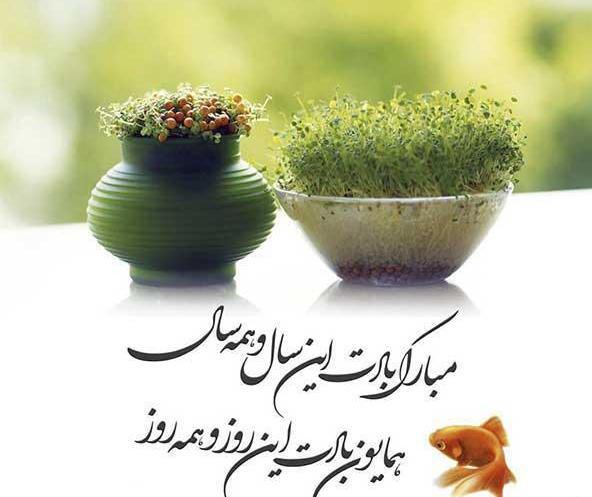 بهترین عکس سال نو