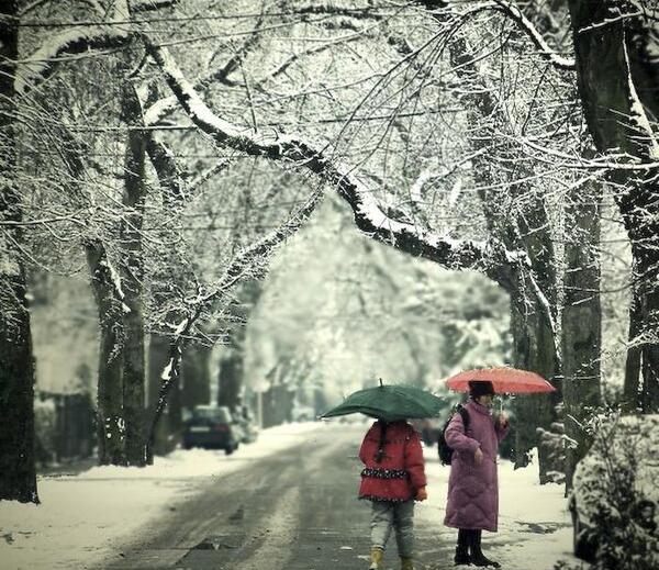 بهترین عکس های زمستان