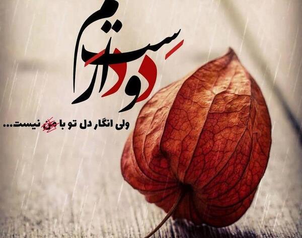 بهترین عکس های زیبا برای پروفایل