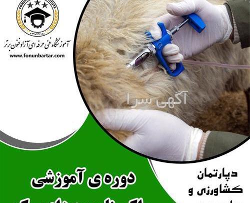 بهترین جا برای عکس رنگی رحم در مشهد