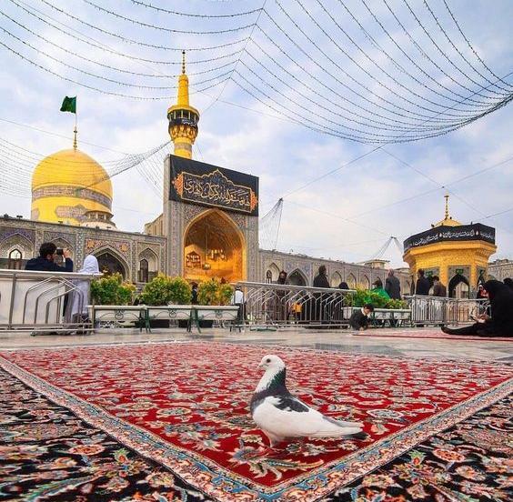 بهترین عکس های حرم امام رضا