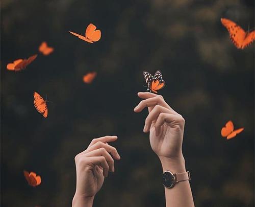بهترین عکس پروفایل در اینستاگرام