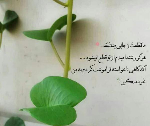بهترین عکس پروفایل واتساپ خدا