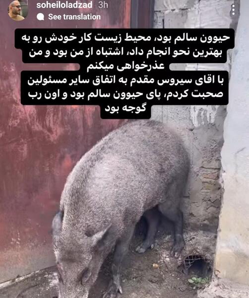 عکس پشت صحنه فیلم نقی معمولی