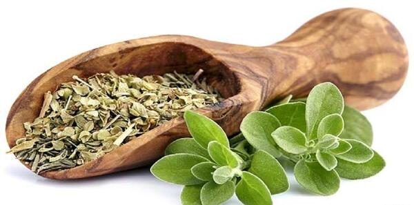 عکس مرزنجوش خشک