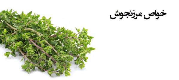 عکس مرزنجوش خشک شده