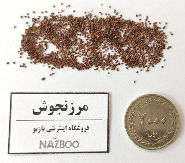 عکس گل مرزنجوش