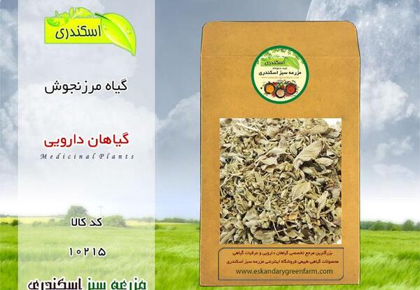عکس گل مرزنجوش