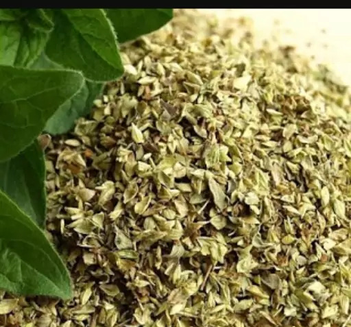 عکس گیاه مرزنجوش کوهی