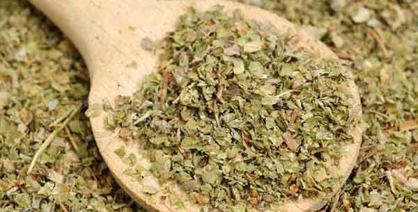 عکس گیاه مرزنجوش کوهی