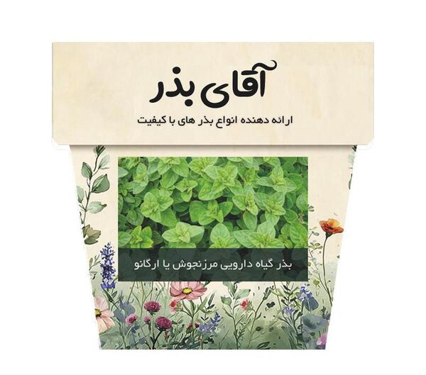 عکس از گیاه مرزنجوش