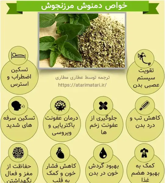 عکس از گیاه مرزنجوش