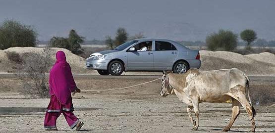 عکس های مرز سیستان و بلوچستان