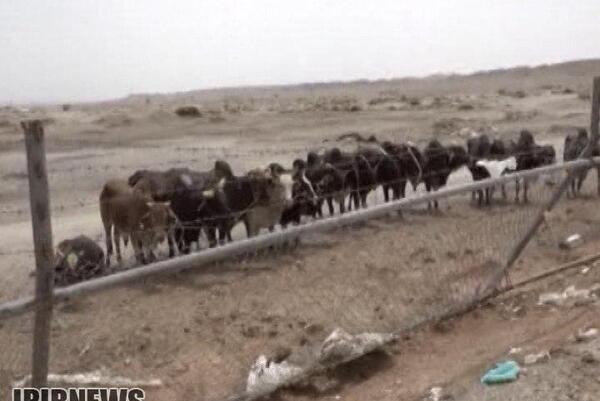 عکس مرز کوهک سراوان