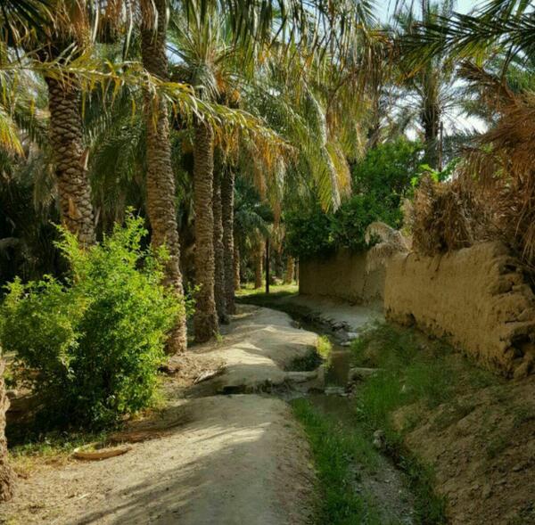 عکس مرز کوهک سراوان