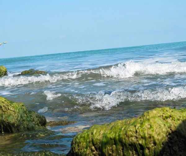 عکس ساحل زاغمرز