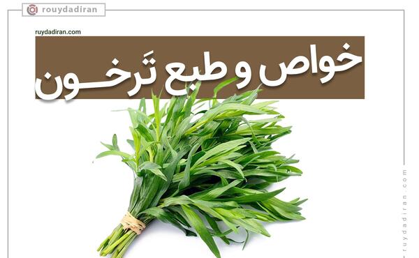 عکس مرزه و ترخون