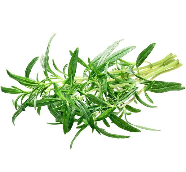 عکس مرزه سبزی