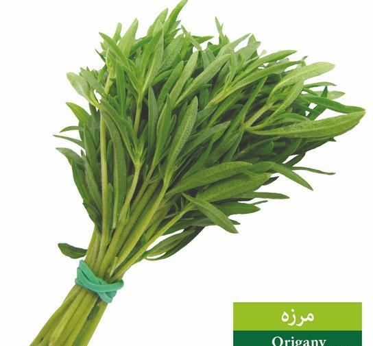 عکس مرزه سبزی