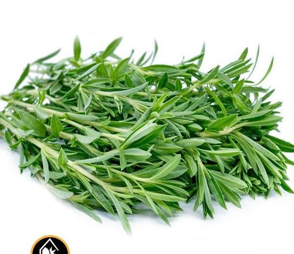 عکس مرزه سبزی