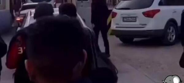 عکس تتلو در مرز بازرگان