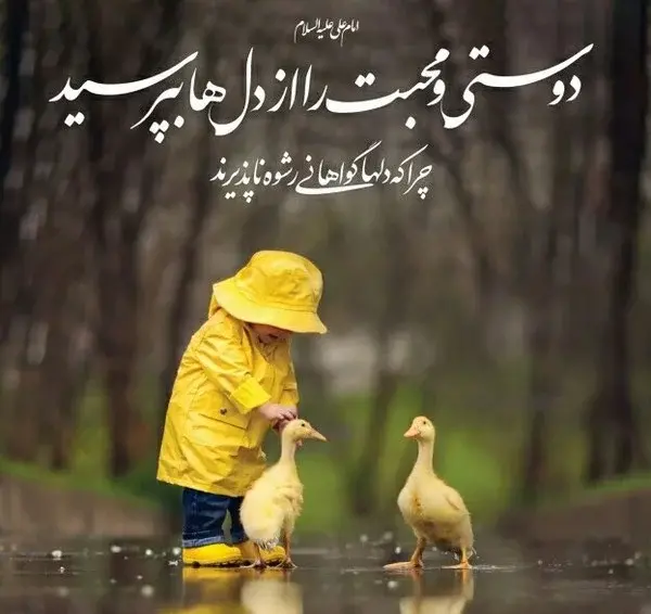 عکس نوشته دوست مهربون