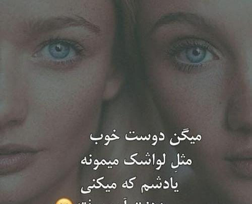 عکس دو دوست مهربان
