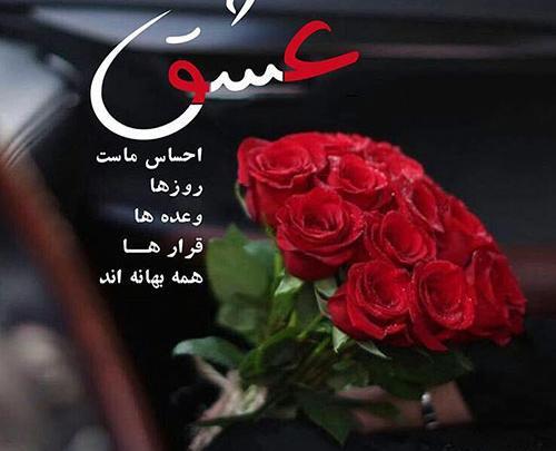 عکس گل دوست داشتنی