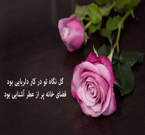 عکس گل دوست
