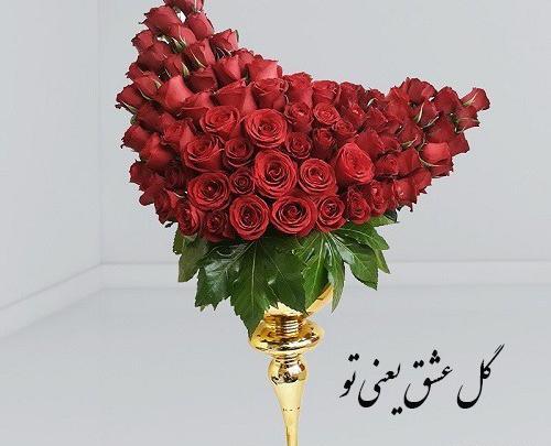 عکس گل دوست